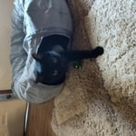 Image 3 of customer photos