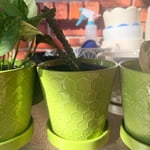 Image 5 of customer photos