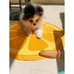 Image 2 of customer photos