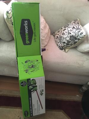 greenworks 22332