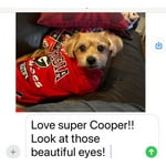 Image 3 of customer photos