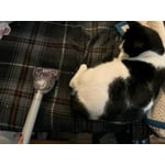 Image 5 of customer photos