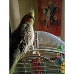 Image 2 of customer photos