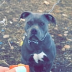 Image 3 of customer photos