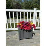 Image 2 of customer photos