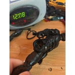 Image 7 of customer photos