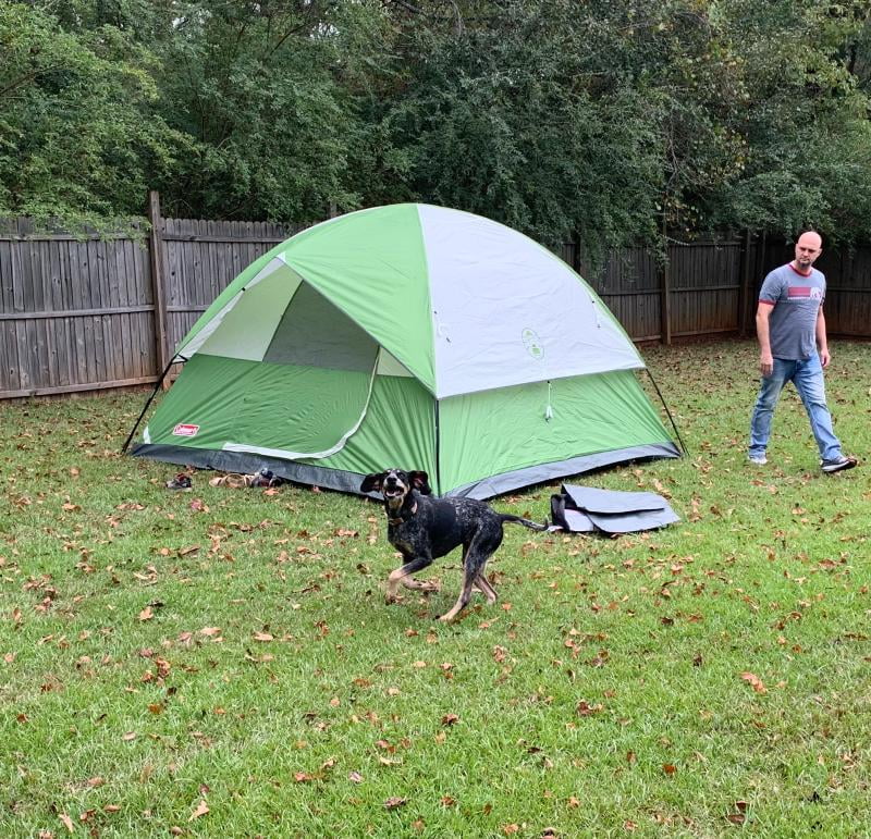 Coleman® 6-Person Sundome® Dome Camping 