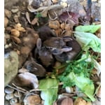 Image 7 of customer photos