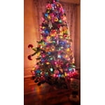 Image 7 of customer photos