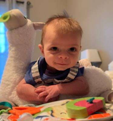 fisher price tummy time llama