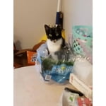 Image 2 of customer photos