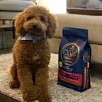 Image 4 of customer photos