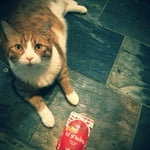 Image 5 of customer photos