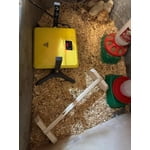 Image 2 of customer photos