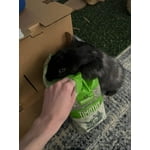 Image 6 of customer photos