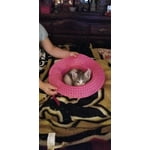 Image 4 of customer photos