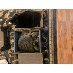 Image 7 of customer photos