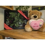 Image 2 of customer photos