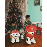 Image 5 of customer photos