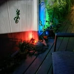 Image 4 of customer photos