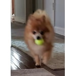 Image 3 of customer photos