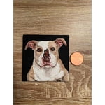 Image 2 of customer photos