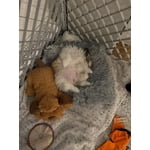 Image 6 of customer photos