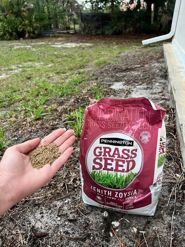 Customer reviews for Pennington Zoysia Grass Seed with Mulch