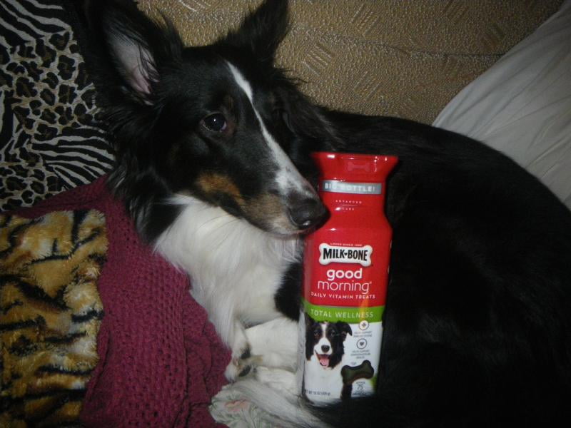 milk bone good morning daily vitamin treats