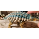 Image 6 of customer photos