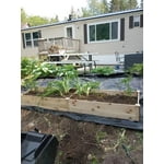 Image 1 of customer photos