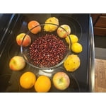 Image 1 of customer photos