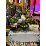 Image 4 of customer photos