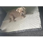 Image 2 of customer photos