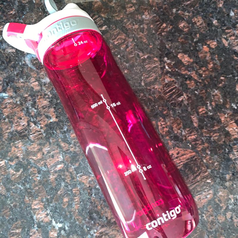 Contigo Autoseal Cortland Water Bottle, 24 Oz., Sangria 