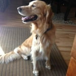 Image 3 of customer photos