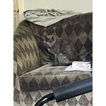 Image 2 of customer photos