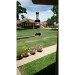 Image 5 of customer photos