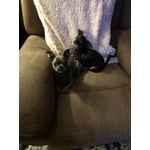 Image 7 of customer photos