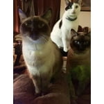 Image 2 of customer photos