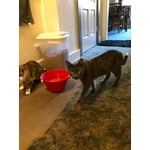 Image 5 of customer photos