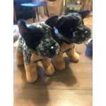 Image 2 of customer photos