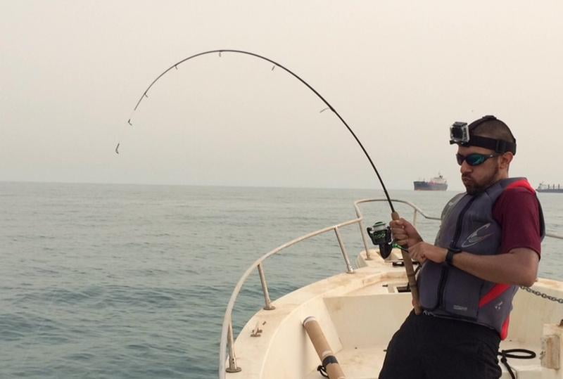 shakespeare ugly stik elite spinning rod
