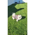 Image 2 of customer photos