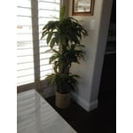 Image 7 of customer photos