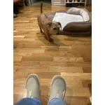 Image 1 of customer photos