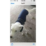 Image 2 of customer photos