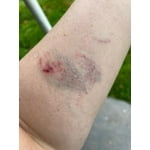 Image 5 of customer photos