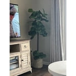 Image 1 of customer photos