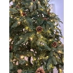 Image 2 of customer photos